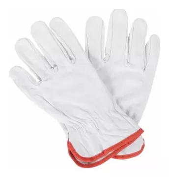 Guantes Cabritilla S/Forro